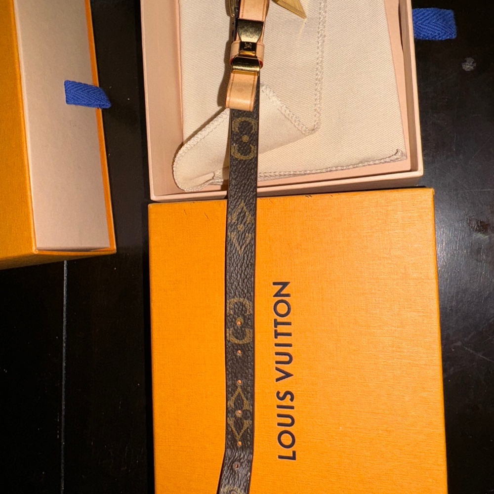 Louis Vuitton Baxter Collar 11-12inch